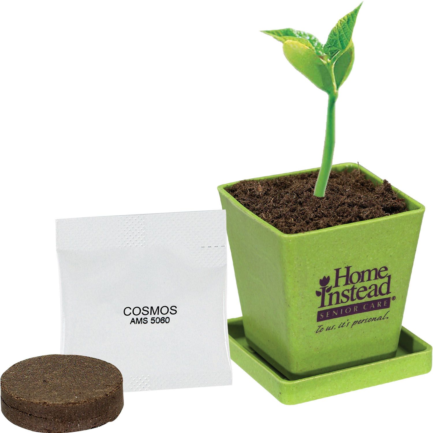 Plant Kit